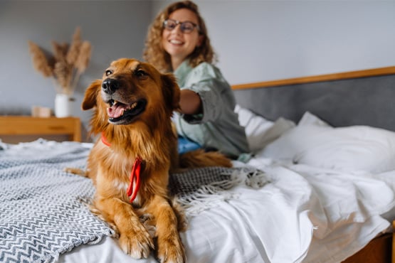 Smiling curly-haired woman in Fargo, ND, relaxing on her bed with her dog after choosing her best checking account